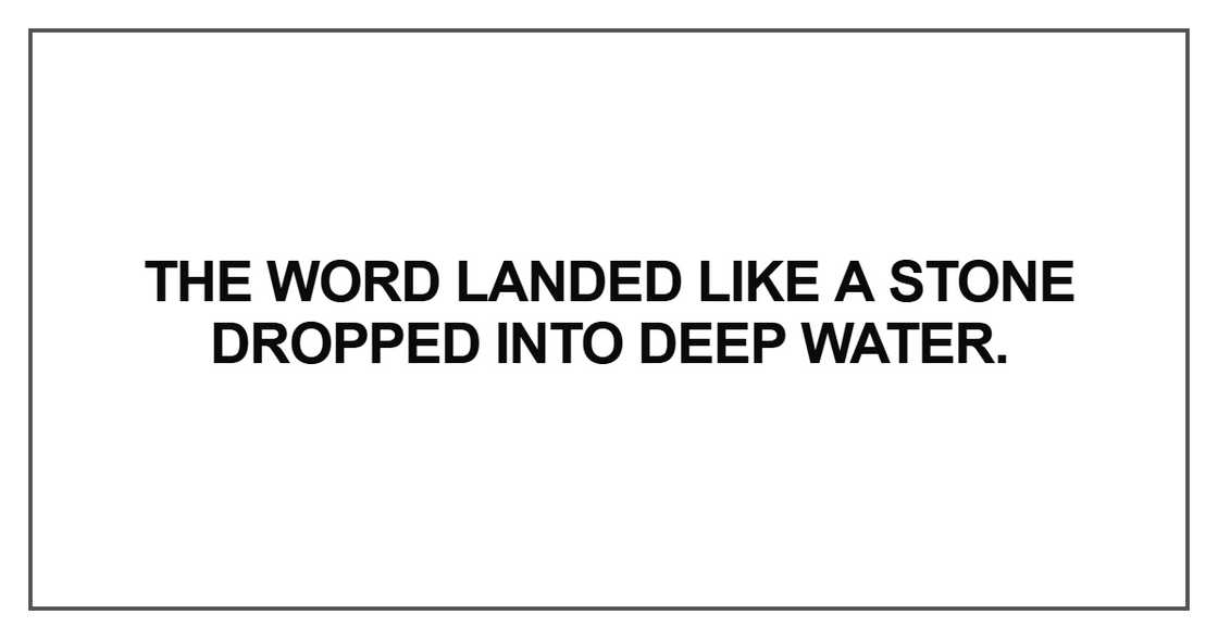 The word landed like a stone dropped The word landed like a stone dropped