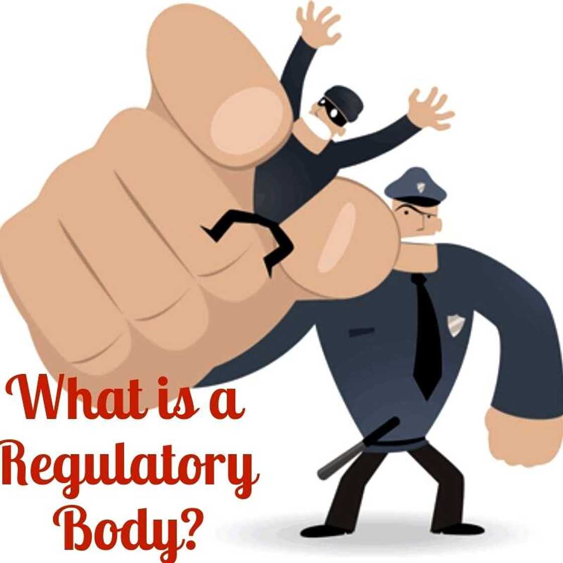 Definition of a Regulatory Body Definition of a Regulatory Body