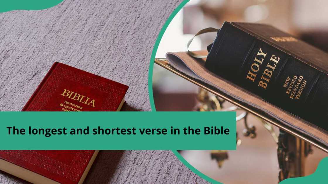 shortest chapter in the bible shortest chapter in the bible