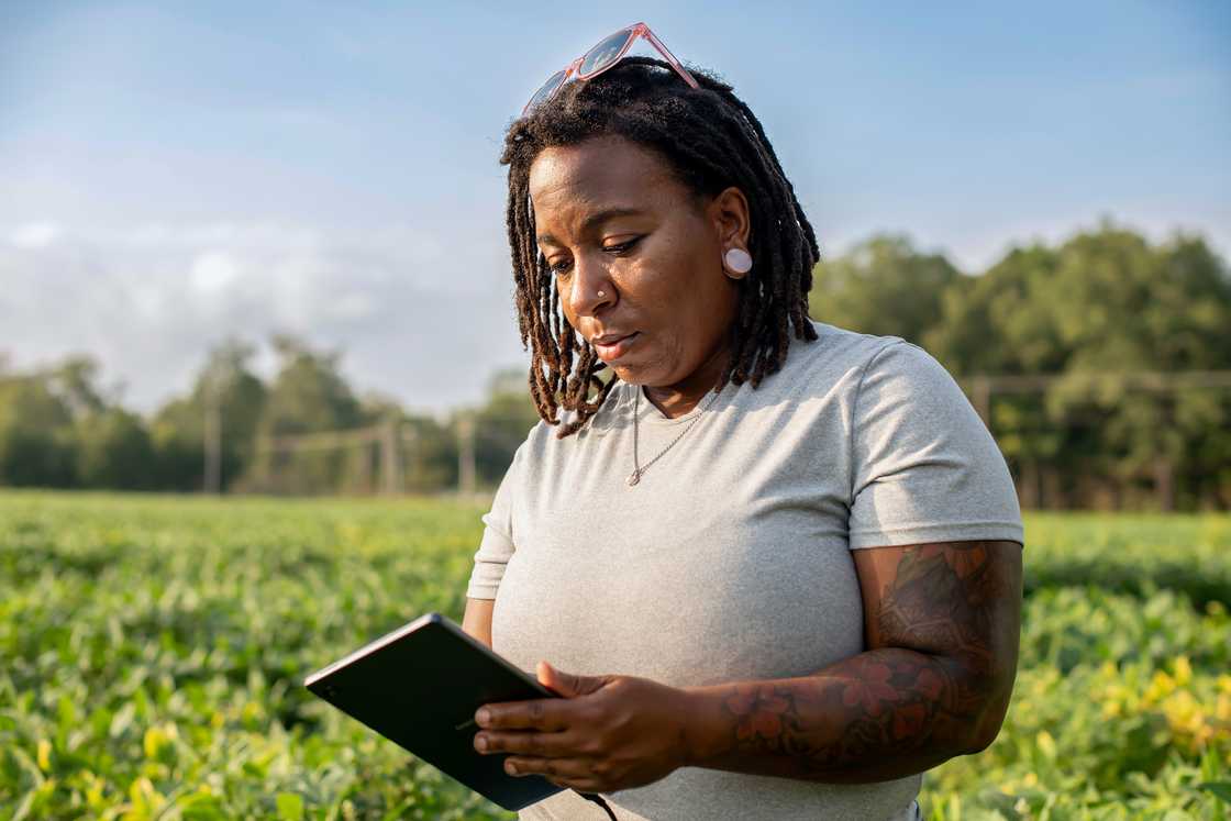 A female farmer in the field. A female farmer in the field.