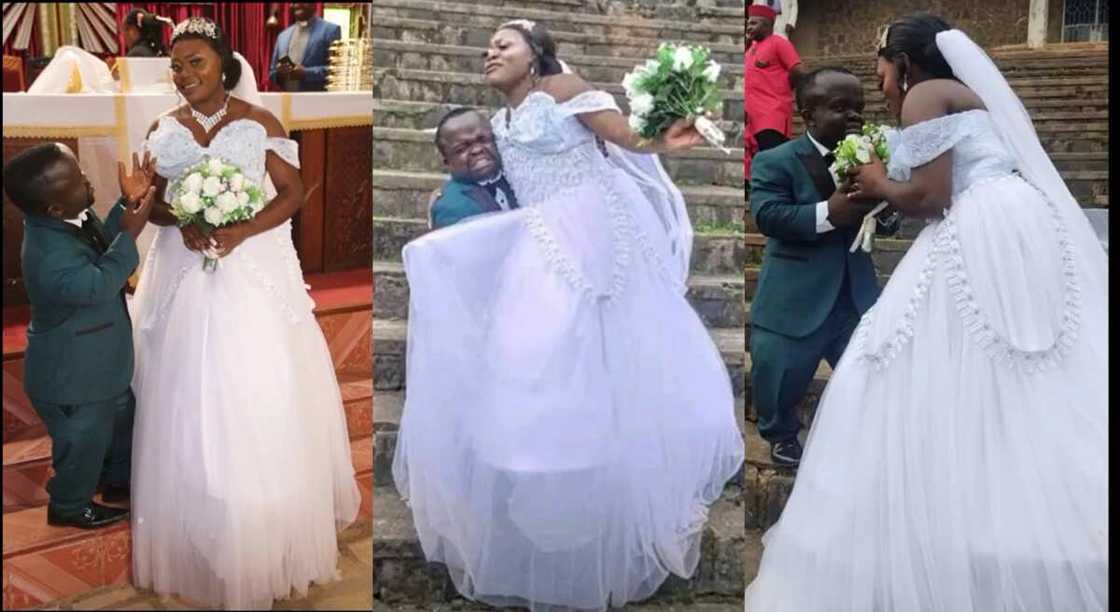 Photos of a smallish groom and his tall bride. Photos of a smallish groom and his tall bride.