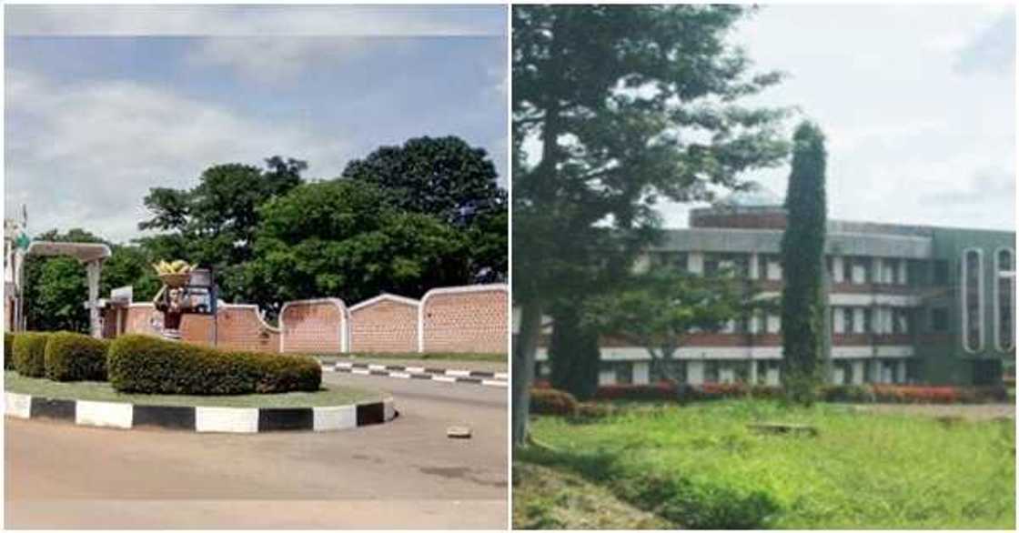 Breaking: Gunmen invade federal university, kidnap students on campus Breaking: Gunmen invade federal university, kidnap students on campus