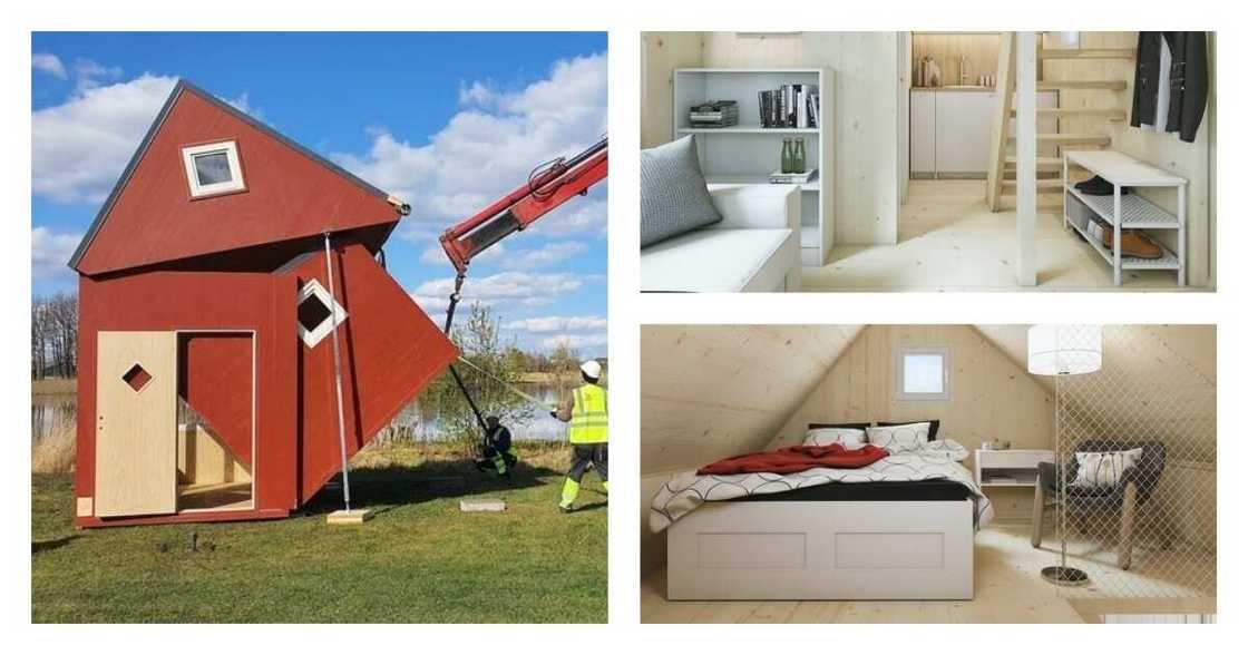 The KSh 2.4 million tiny house that can be delivered in a box The KSh 2.4 million tiny house that can be delivered in a box