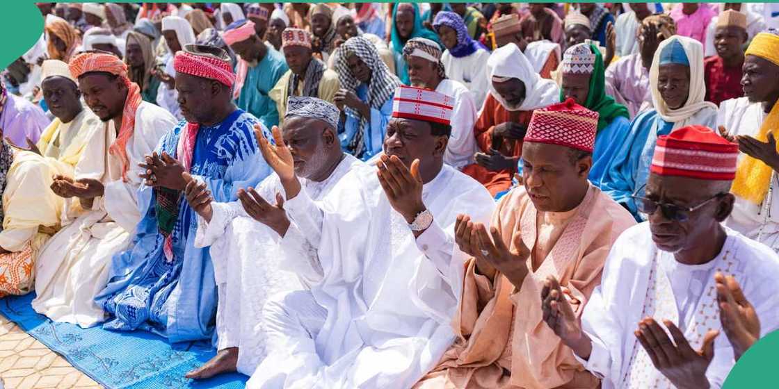 NNPP/APC/apc news today NNPP/APC/apc news today