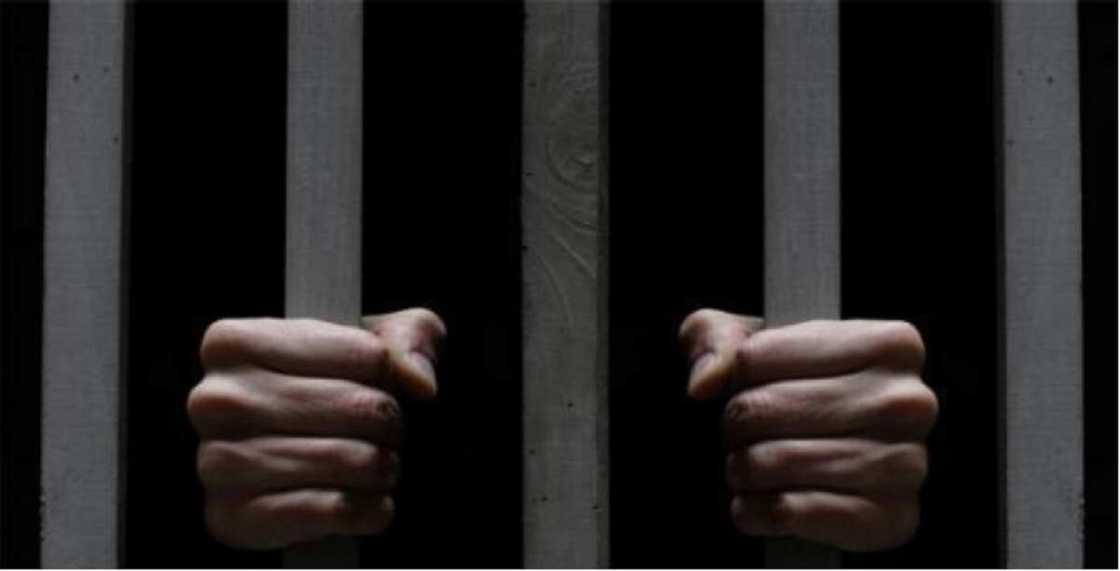 Faɗa a gidan yari: Fursuna ya datse yatsun gandireba ya haɗiye Faɗa a gidan yari: Fursuna ya datse yatsun gandireba ya haɗiye