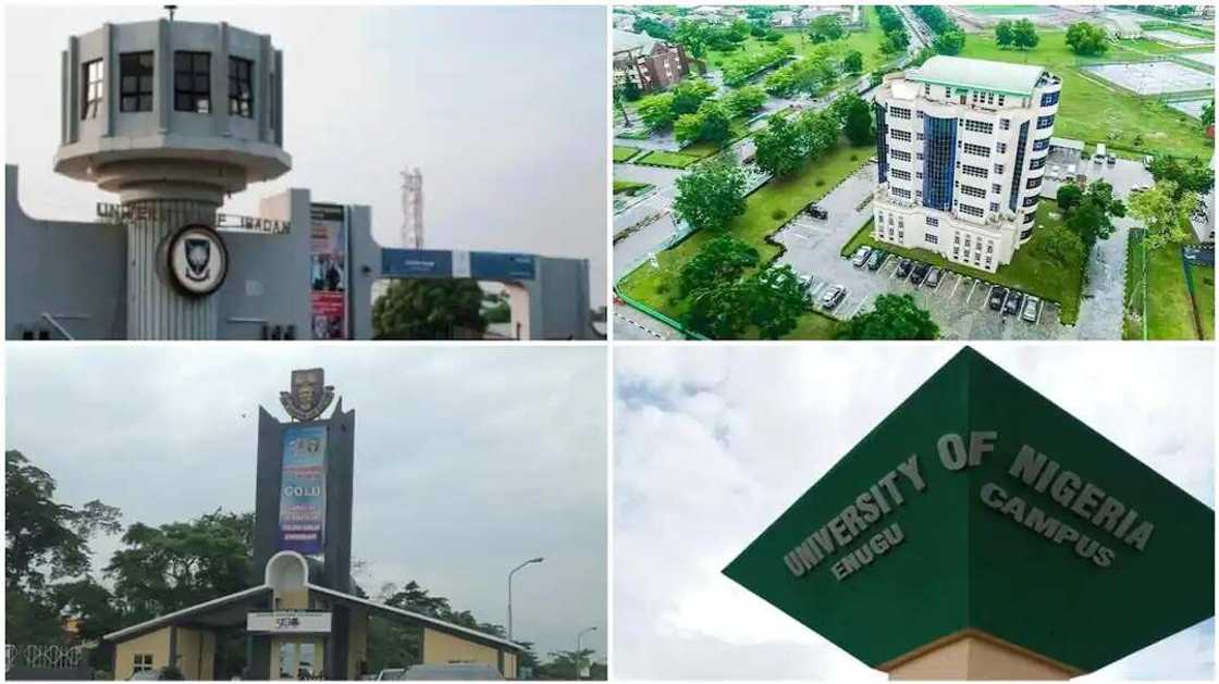 Manyan Jami’o’i Manyan Jami’o’i