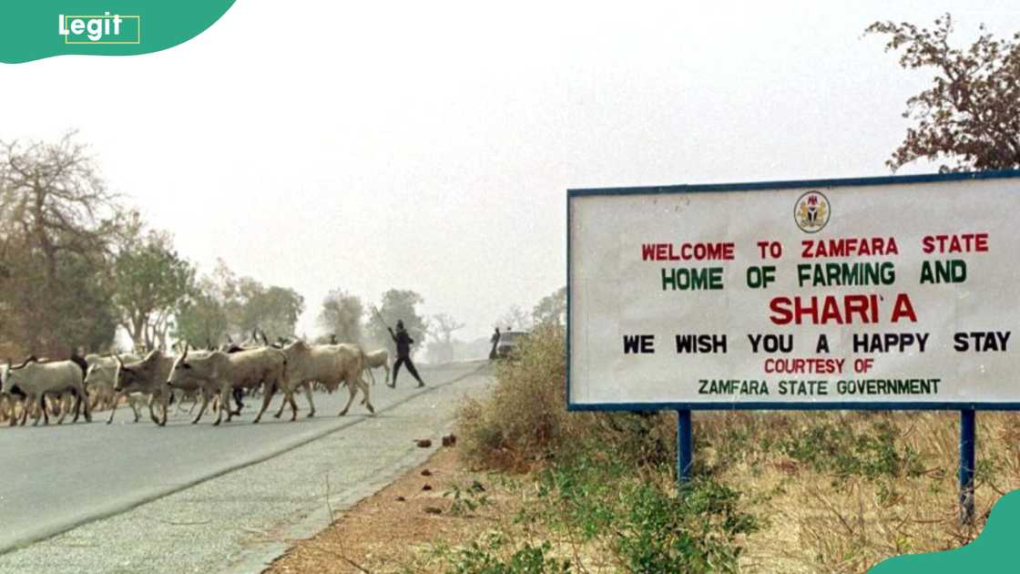 A man herding cattle along a roadside past a large signboard welcoming visitors to Zamfara State, northern Nigeria