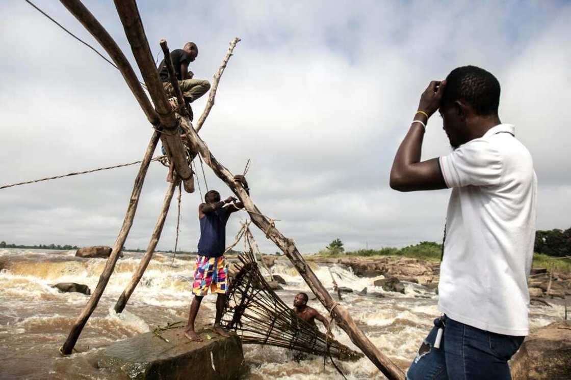 Wooden poles are wedged into holes in the rocks and tied together with lianas to form scaffolds. Baskets are then dropped from the scaffolding into the roaring currents to trap fish Wooden poles are wedged into holes in the rocks and tied together with lianas to form scaffolds. Baskets are then dropped from the scaffolding into the roaring currents to trap fish