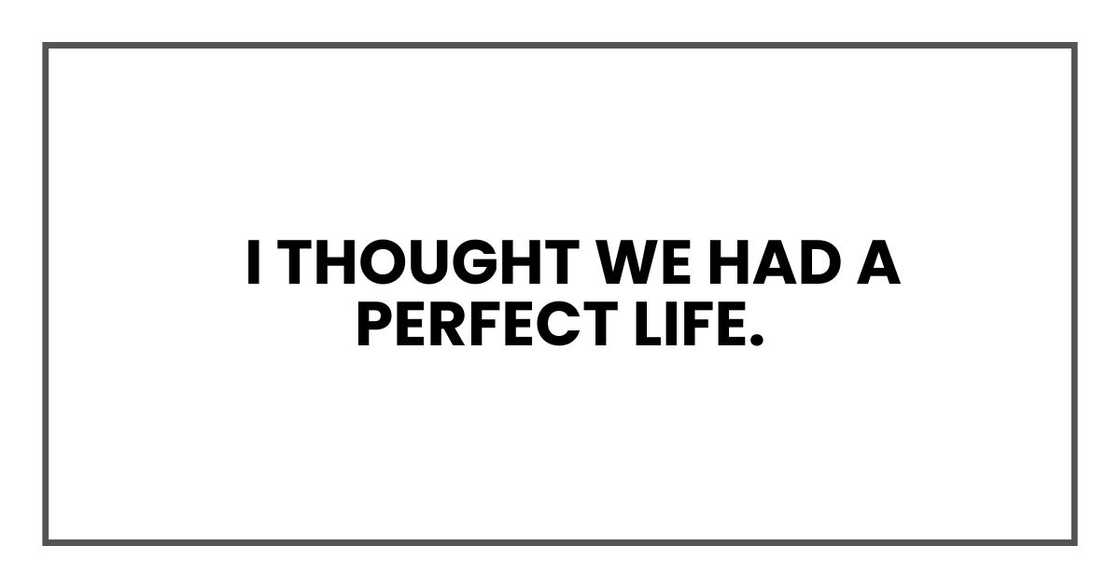 I thought we had a perfect life I thought we had a perfect life