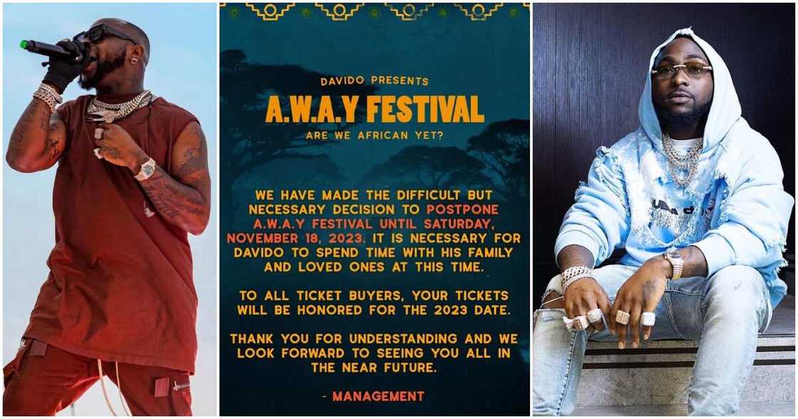 davido, festival, 2023 davido, festival, 2023