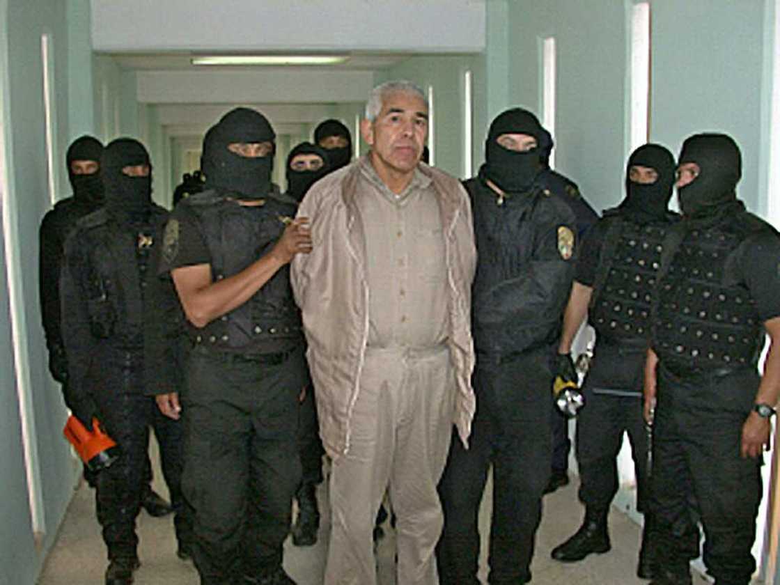 Mexican police agents guard alleged drug trafficker Rafael Caro Quintero in Guadalajara, Jalisco on January 29, 2005 Mexican police agents guard alleged drug trafficker Rafael Caro Quintero in Guadalajara, Jalisco on January 29, 2005