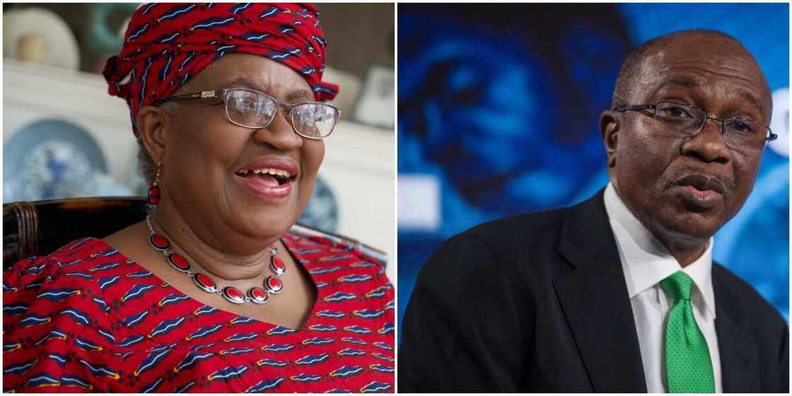 Nigeria Needs Okonjo-Iweala, WTO's Help To Achieve Trade Goals - CBN's Godwin Emefiele Nigeria Needs Okonjo-Iweala, WTO's Help To Achieve Trade Goals - CBN's Godwin Emefiele