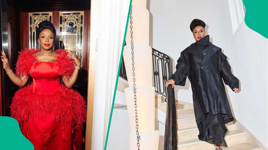Chimamanda Adichie shares post about late son calls out hospital Chimamanda Adichie shares post about late son calls out hospital