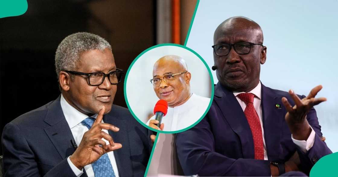 Governors throw weight behind Dangote Governors throw weight behind Dangote