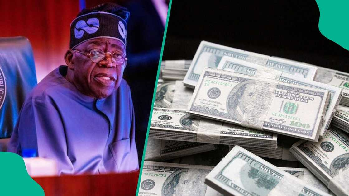 The Federal Government plans to borrow N17.89 trillion in 2026 due to a wider fiscal deficit and lower revenue projections.
Domestic borrowing will account for 80% of the government’s loan plan The Federal Government plans to borrow N17.89 trillion in 2026 due to a wider fiscal deficit and lower revenue projections.
Domestic borrowing will account for 80% of the government’s loan plan