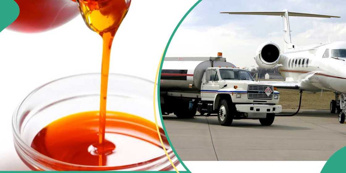 Palm Oil, Aviation Fuel