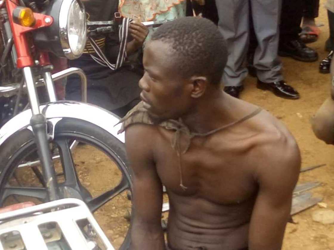 Yanzu-yanzu: An damke yan baranda 15 da suka addabi jihar Sokoto (Hotuna) Yanzu-yanzu: An damke yan baranda 15 da suka addabi jihar Sokoto (Hotuna)