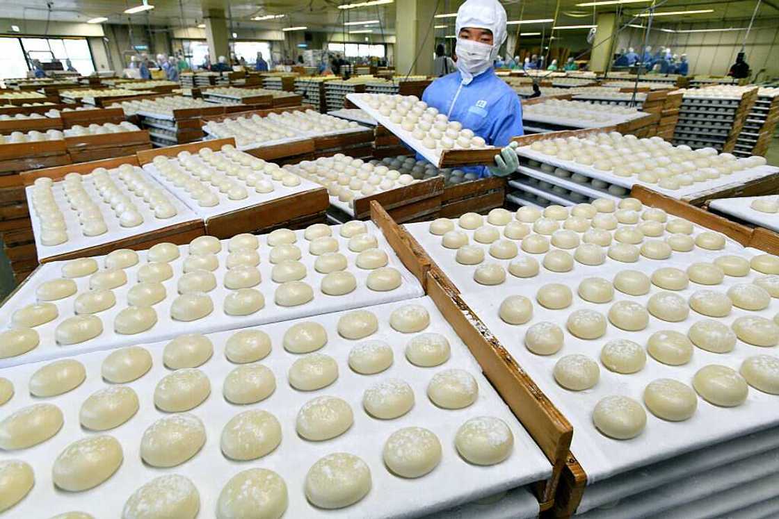 Faites votre Mochi Glacé avec notre recette succulente ! Faites votre Mochi Glacé avec notre recette succulente !