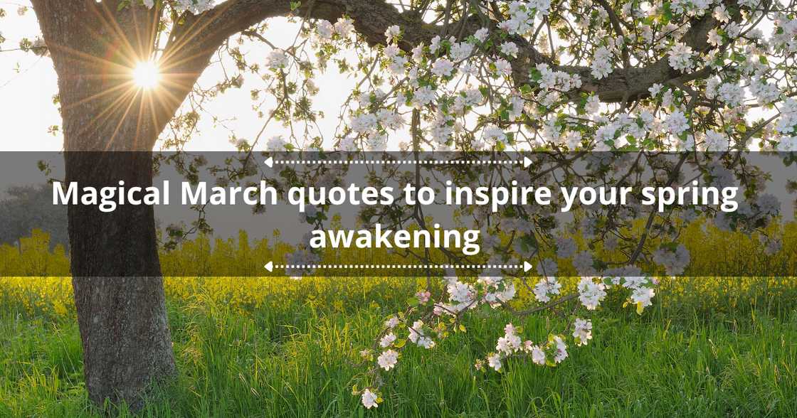 40 magical March quotes to inspire your spring awakening