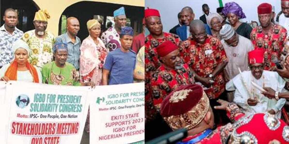 2023: Start talking to APC, PDP now –Ex-minister tells Igbo