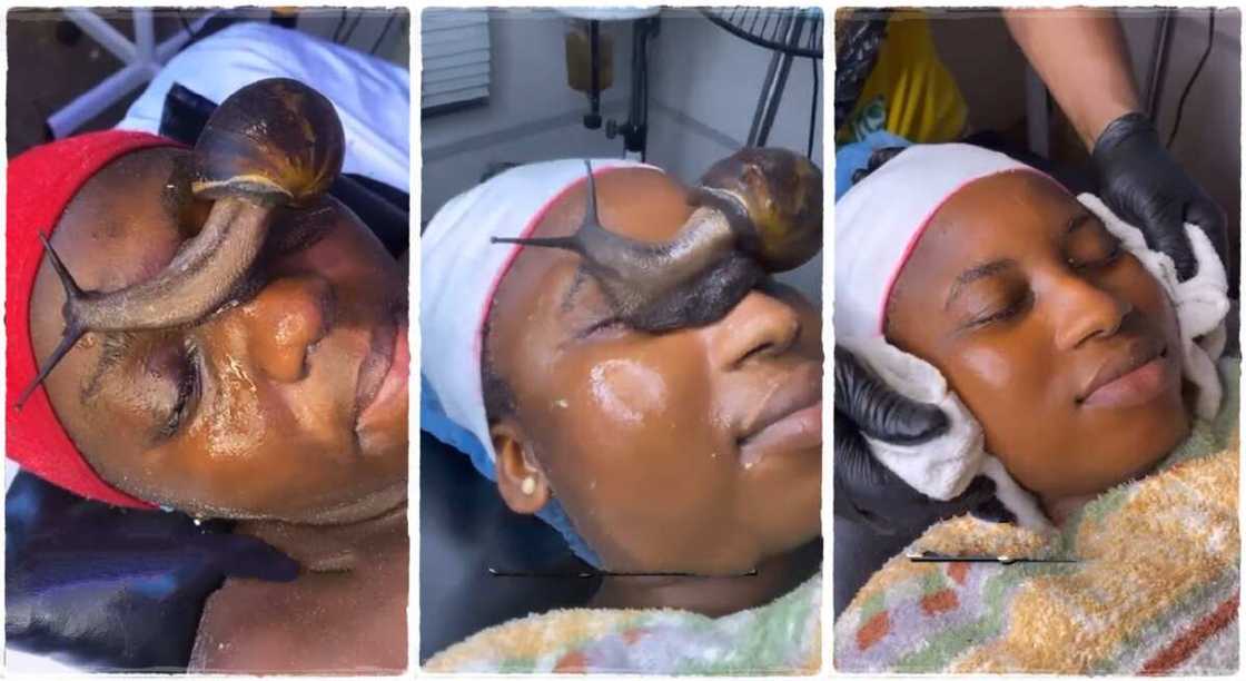 Photos of a lady performing snail facials.