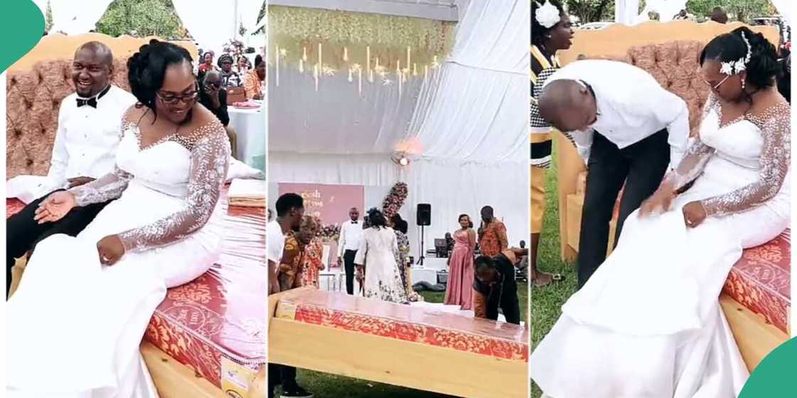 Photo of the couple Photo of the couple