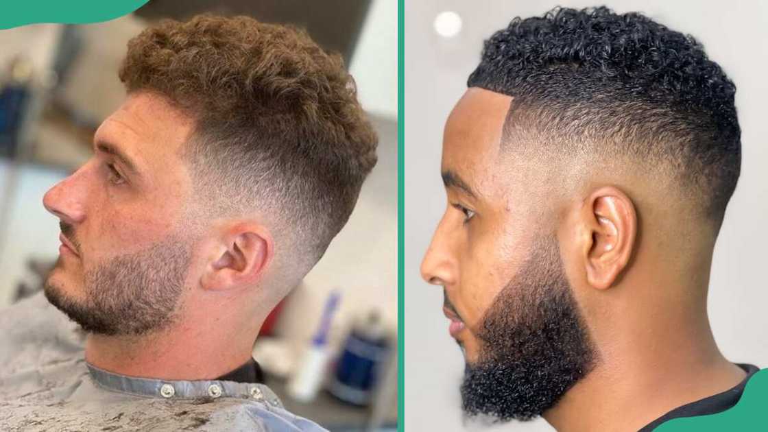 Curly fade haircut