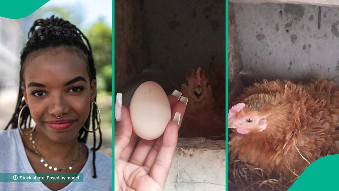 Lady celebrates as her hen lays its first egg, its name catches people's attention