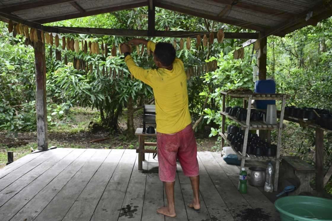 Renato Cordeiro, 57, hangs the collected rubber to dry at his home Renato Cordeiro, 57, hangs the collected rubber to dry at his home