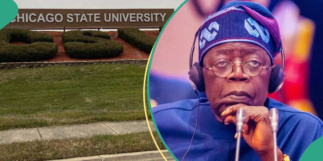 Chicago State University/CSU/Tinubu/Tinubu certificate Chicago State University/CSU/Tinubu/Tinubu certificate