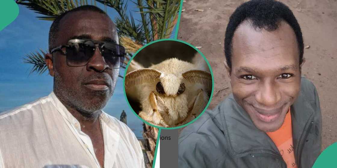 Frank Edoho, Frank Edoho says Daniel Regha looks like an arthropod, Daniel Regha Frank Edoho, Frank Edoho says Daniel Regha looks like an arthropod, Daniel Regha