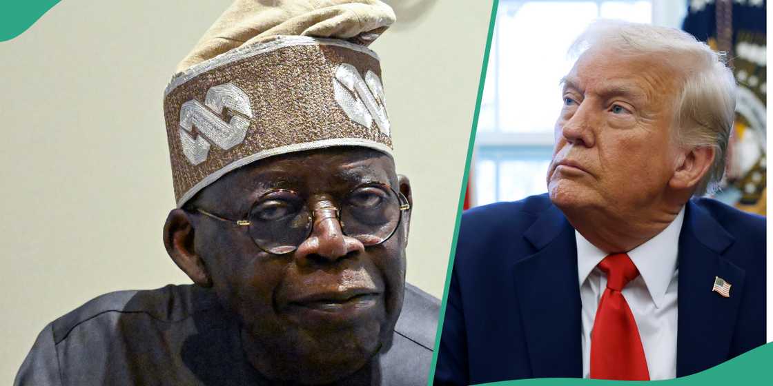 Legit.ng probes claim Donald Trump ordered the sale of property belonging solely to African politicians or the deportation of their children Legit.ng probes claim Donald Trump ordered the sale of property belonging solely to African politicians or the deportation of their children