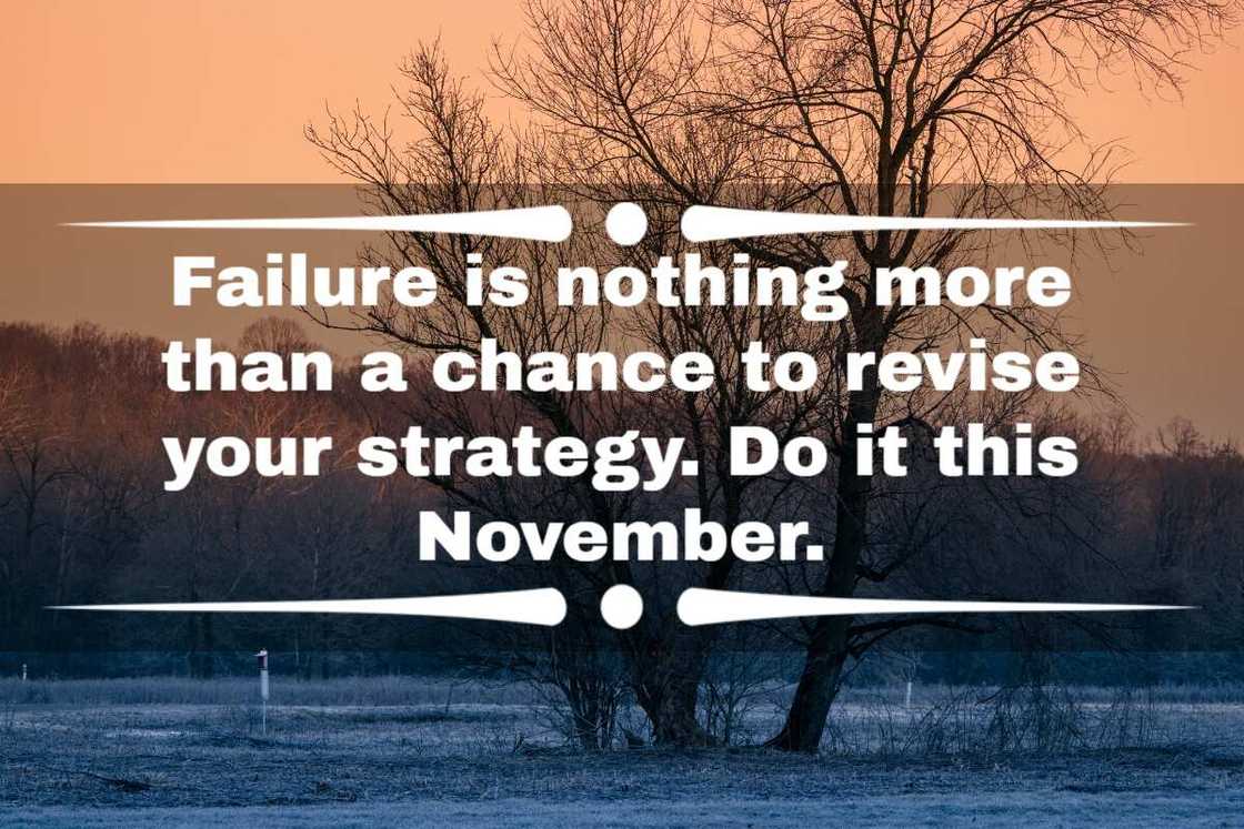 73 happy November quotes and sayings to the new month Legit.ng