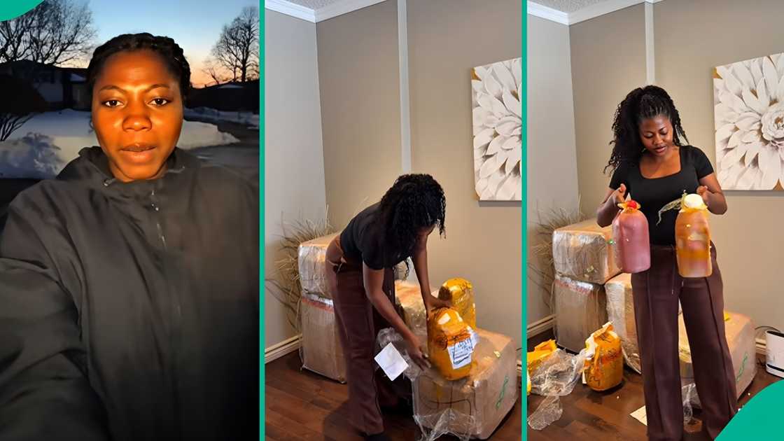 A woman ships foodstuff and skincare items from Lagos to Canada A woman ships foodstuff and skincare items from Lagos to Canada