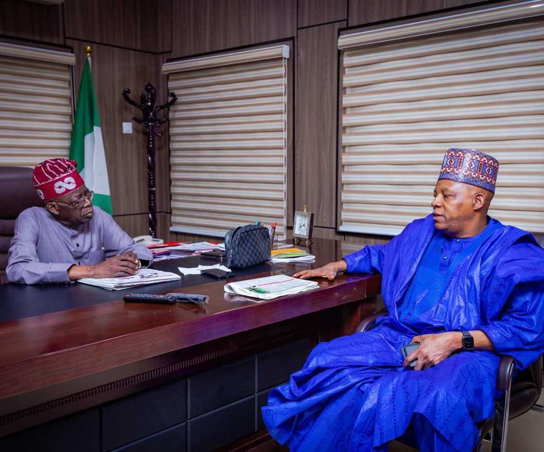 Yakubu Dogara, Babachir Lawal, Bola Tinubu, Muslim-Muslim ticket, APC, 2023 elections Yakubu Dogara, Babachir Lawal, Bola Tinubu, Muslim-Muslim ticket, APC, 2023 elections