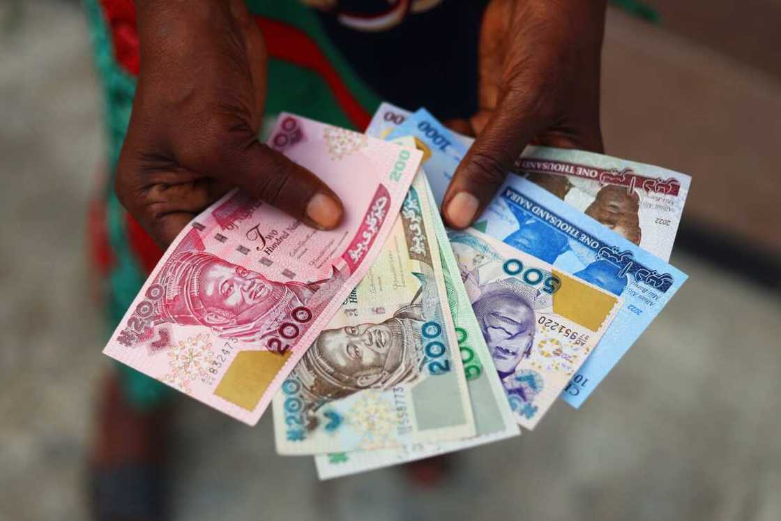 Nigerian currency notes