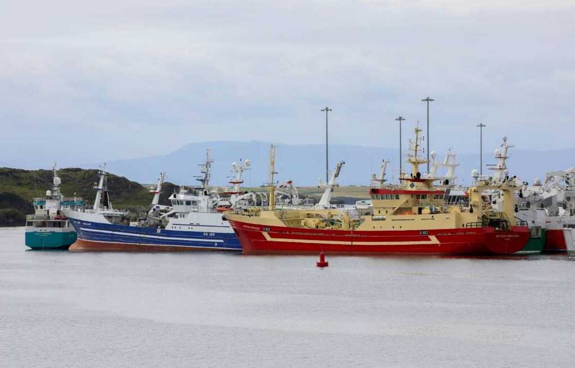 Fishermen in Killybegs, northwest Ireland, fear sea temperature rises will force species to migrate to colder waters Fishermen in Killybegs, northwest Ireland, fear sea temperature rises will force species to migrate to colder waters