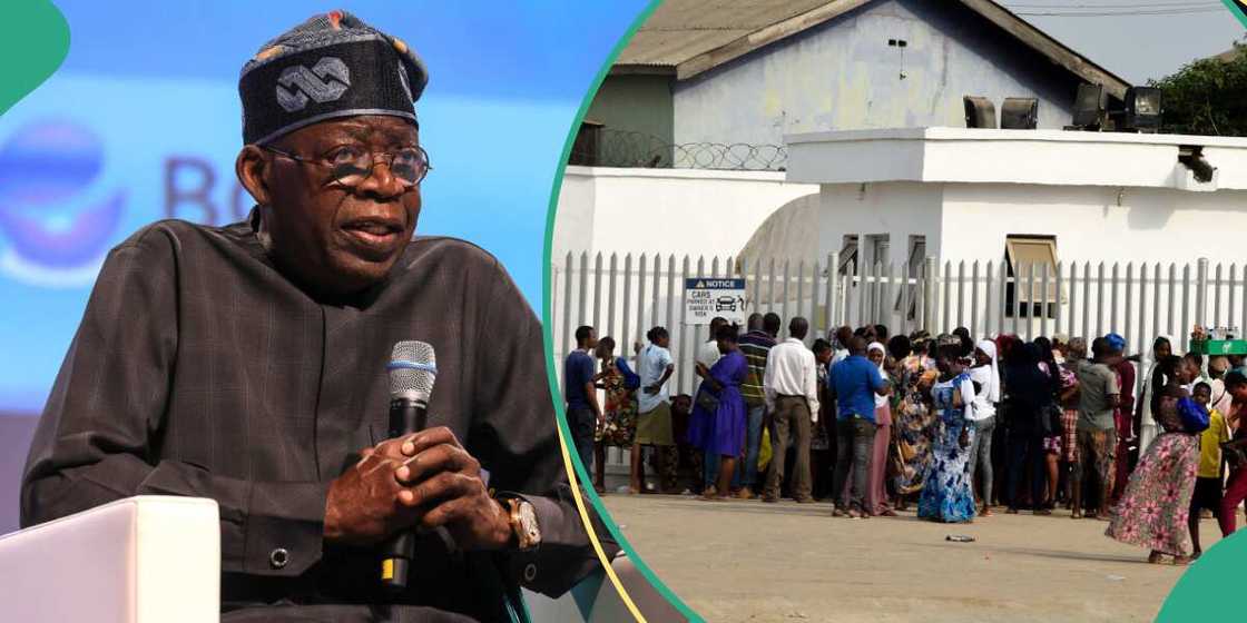 President Tinubu President Tinubu