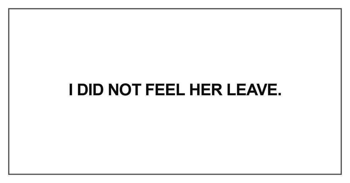 I did not feel her leave I did not feel her leave