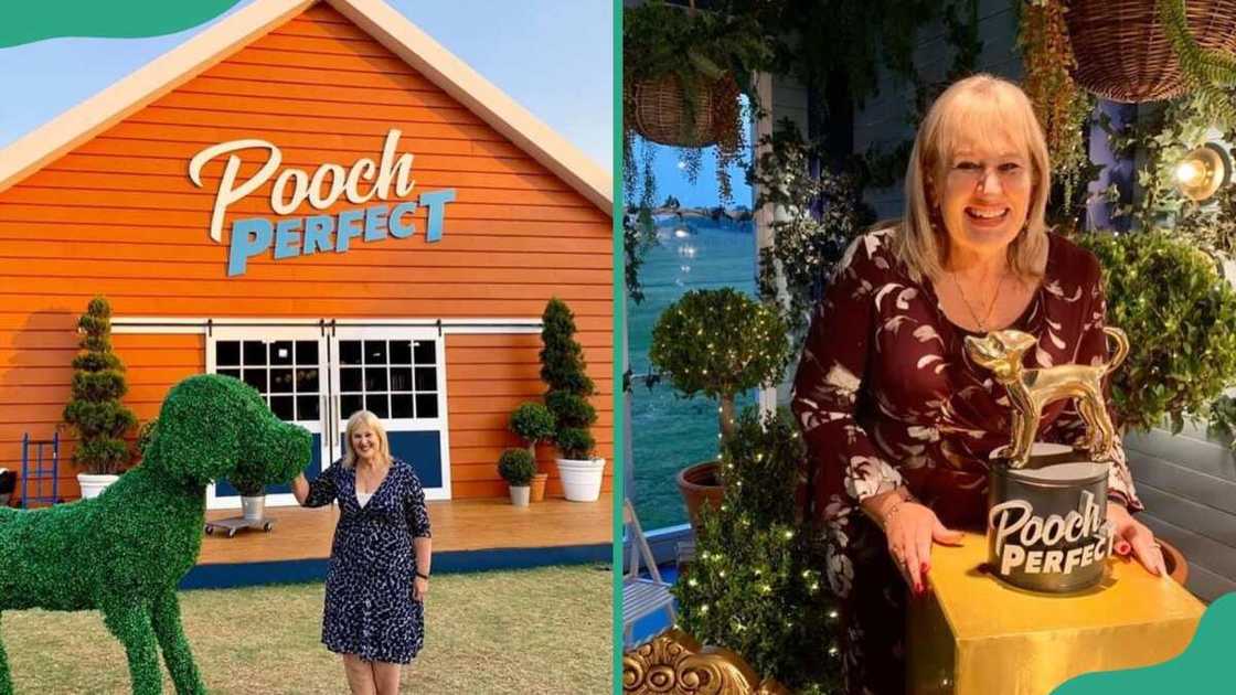 What is Rebel Wilson parents nationality? What is Rebel Wilson parents nationality?