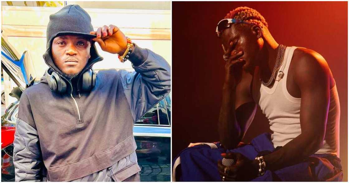 Portable Zazu Portable Zazu