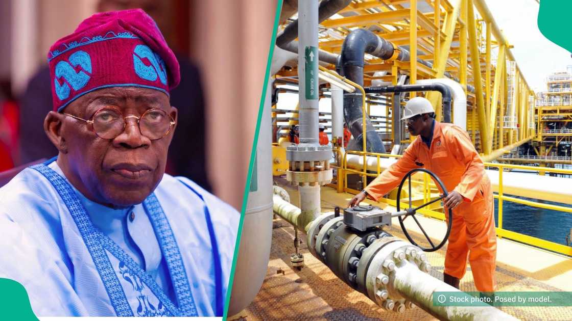 Crude oil is important to Nigeria because it accounts for the majority of government revenue.