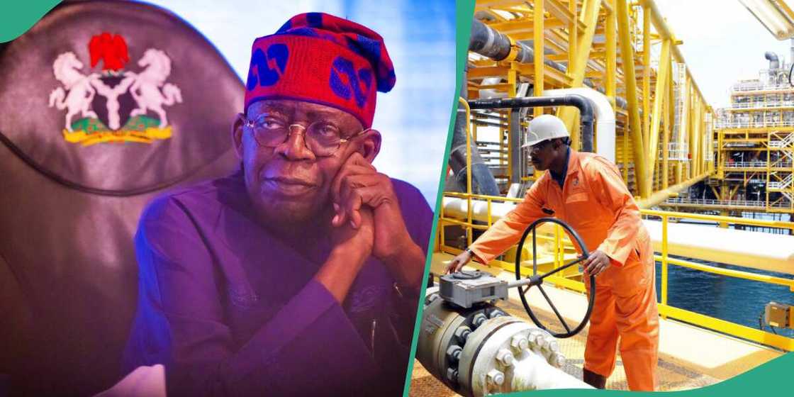 Tinubu against oil theft Tinubu against oil theft