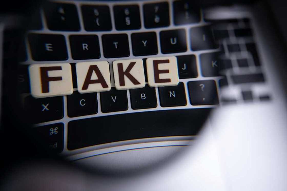 Peddlers of disinformation have exploited voter concerns about immigration and poor service delivery to undermine the election discourse Peddlers of disinformation have exploited voter concerns about immigration and poor service delivery to undermine the election discourse