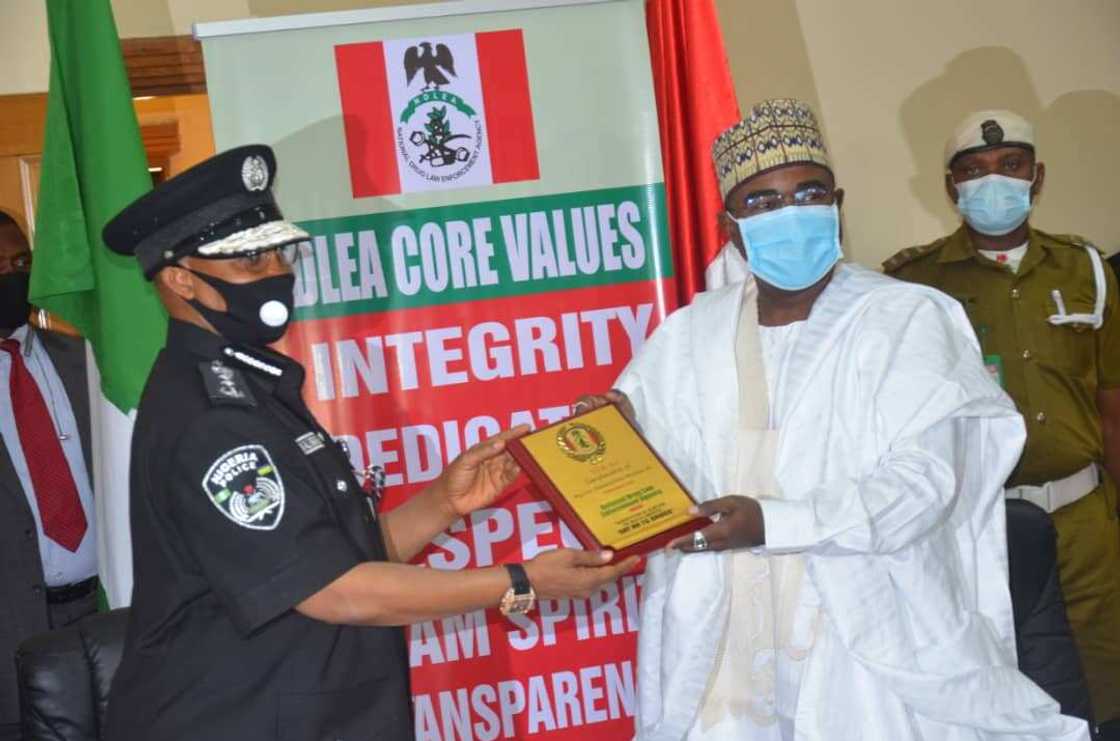 Hukumar NDLEA Ta Kama Miyagun Kwayoyi da Kudinsu Yakai biliyan 80 a Cikin Watanni uku Hukumar NDLEA Ta Kama Miyagun Kwayoyi da Kudinsu Yakai biliyan 80 a Cikin Watanni uku