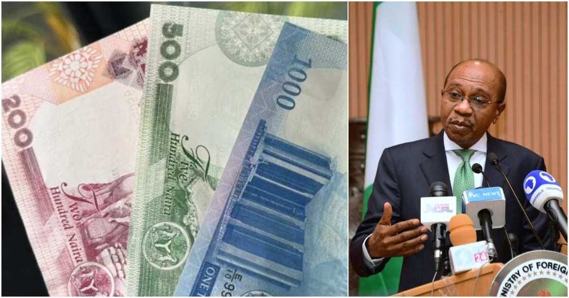 CBN, new naira notes, Godwin Emefiele, federal government CBN, new naira notes, Godwin Emefiele, federal government