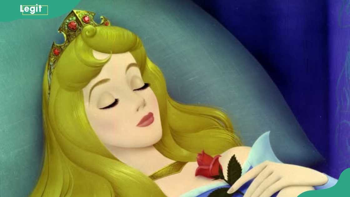 Sleeping Beauty Sleeping Beauty
