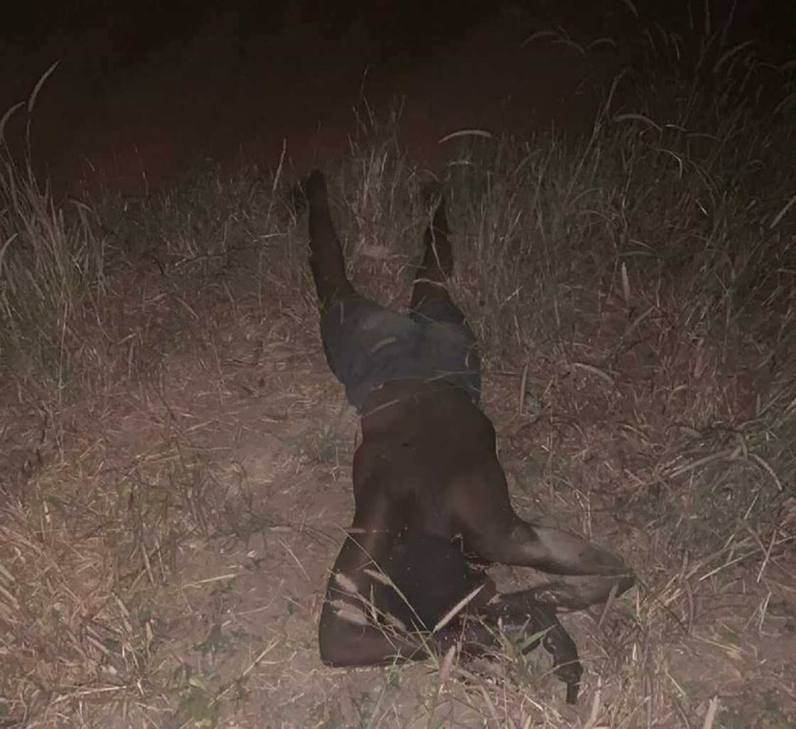 Sojoji sun kashe 'yan bindiga, sun kwato makamai da alburusai da dama Sojoji sun kashe 'yan bindiga, sun kwato makamai da alburusai da dama