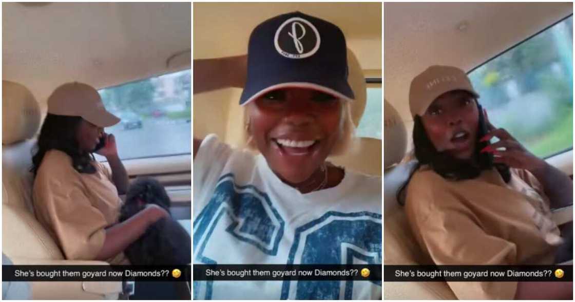 Tiwa Savage orders diamond chains for dogs Tiwa Savage orders diamond chains for dogs