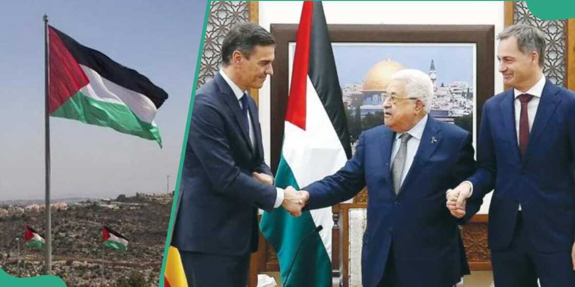 Spain da wasu kasashe na son Falasdinu ta samu 'yancin kai Spain da wasu kasashe na son Falasdinu ta samu 'yancin kai